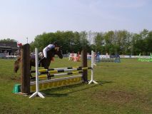 Reittunier-2011-010