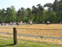 Reittunier-2011-011