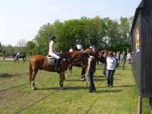 Reittunier-2011-012
