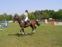 Reittunier-2011-013