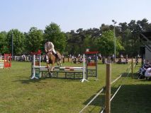 Reittunier-2011-014