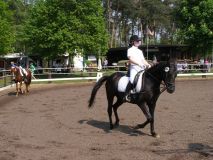 Reittunier-2011-019