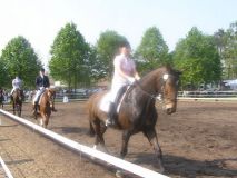 Reittunier-2011-041