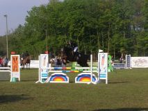 Reittunier-2011-074