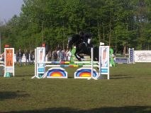 Reittunier-2011-077