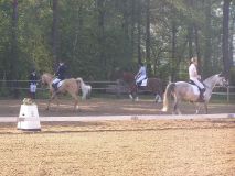Reittunier-2011-078