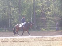 Reittunier-2011-079