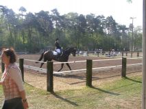 Reittunier-2011-081
