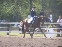 Reittunier-2011-087