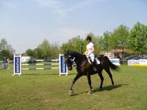Reittunier-2011-106