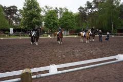 k-Reittunier-2019-0015