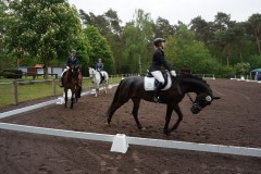 k-Reittunier-2019-0025