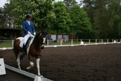 k-Reittunier-2019-0051