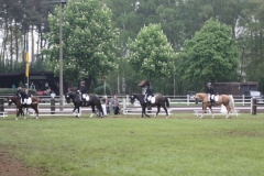 reittunier_201422_20140510_1903240175