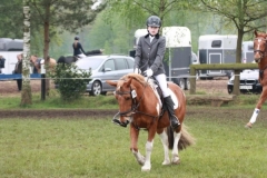 reittunier_201423_20140510_1605159847