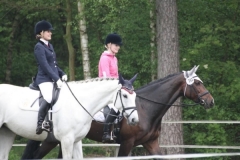 reittunier_20146_20140510_1285640629