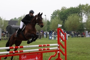 Reitturnier 2014
