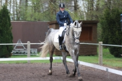 reittunier_201511_20150507_1176311712