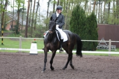 reittunier_201513_20150507_2046688773