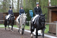 reittunier_201514_20150507_1728234431