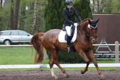 reittunier_201519_20150507_1316680617