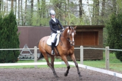 reittunier_201520_20150507_1762266239