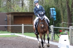 reittunier_201521_20150507_1346414434
