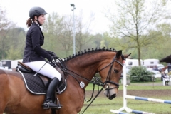 reittunier_201523_20150507_1790140743