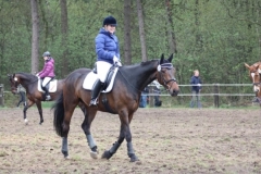 reittunier_201525_20150507_1420812755