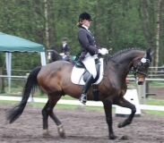 reittunier_201526_20150507_1944676705