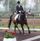 reittunier_201527_20150507_1403974730