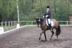 reittunier_201528_20150507_1458347505