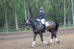 reittunier_201529_20150507_1433972999