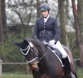 reittunier_201531_20150507_1602213736