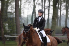 reittunier_201532_20150507_1635630368