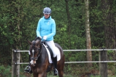 reittunier_201534_20150507_1127812524