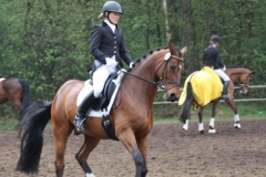 reittunier_201537_20150507_1795865858