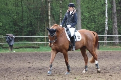 reittunier_201538_20150507_1073094743