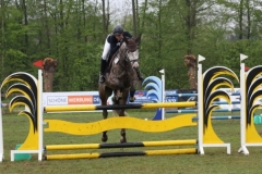 reittunier_201543_20150507_1866033390