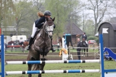 reittunier_201544_20150507_1371039348