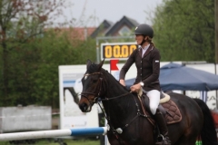 reittunier_201545_20150507_1314666052