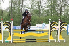 reittunier_201547_20150507_2048103452