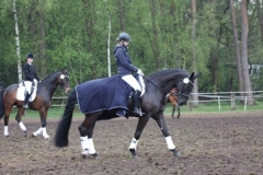 reittunier_201548_20150507_1953698465