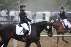 reittunier_20154_20150507_1898393457