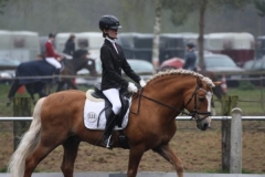 reittunier_20155_20150507_1265590308