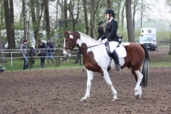 reittunier_201573_20150507_1023046403