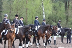 reittunier_201580_20150507_1310095021