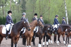 reittunier_201581_20150507_1008976833