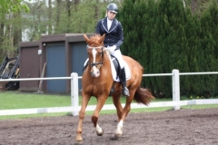 reittunier_201584_20150507_1283981448