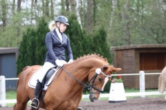 reittunier_201585_20150507_1716717934